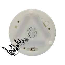 BOTELLA LED SURTIDA CON MUSICA
